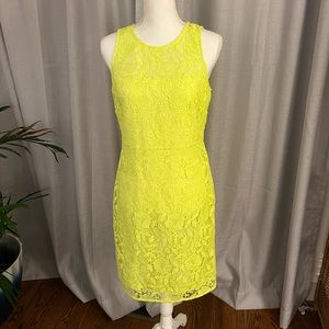 Jcrew lace shift dress